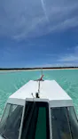 tome cruiseに投稿された画像（2026/7/3）