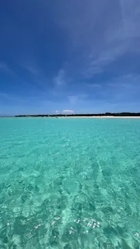 tome cruiseに投稿された画像（2026/7/3）