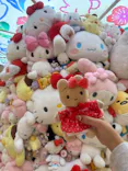 サンリオピューロランドに投稿された画像（2026/7/3）