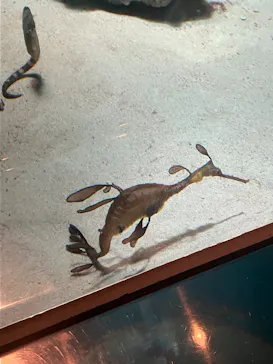 葛西臨海水族園に投稿された画像（2026/7/3）