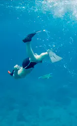 パイレーツマリンクラブに投稿された画像（2026/7/4）