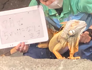 サンシャイン水族館に投稿された画像（2026/7/4）