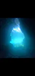 武藤潜水に投稿された画像（2026/7/4）