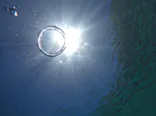 武藤潜水に投稿された画像（2026/7/4）