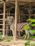 名古屋市東山動植物園に投稿された画像（2026/7/4）