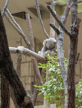 名古屋市東山動植物園に投稿された画像（2026/7/4）