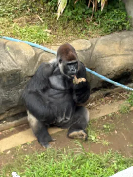 千葉市動物公園に投稿された画像（2026/7/4）