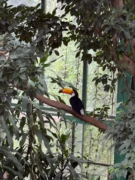 千葉市動物公園に投稿された画像（2026/7/4）