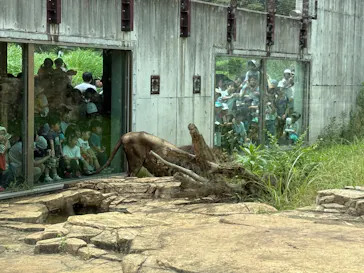 千葉市動物公園に投稿された画像（2026/7/4）