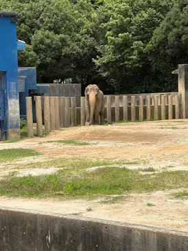千葉市動物公園に投稿された画像（2026/7/4）
