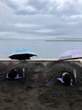別府海浜砂湯「Sand SPA」に投稿された画像（2026/7/4）