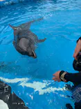 南知多ビーチランド＆南知多おもちゃ王国に投稿された画像（2026/7/4）