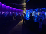 京都水族館に投稿された画像（2026/7/4）