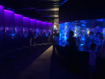 京都水族館に投稿された画像（2026/7/4）