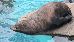 京都水族館に投稿された画像（2026/7/4）