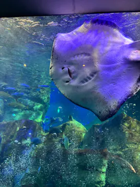 大分マリーンパレス水族館 「うみたまご」に投稿された画像（2026/7/4）