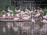 多摩動物公園に投稿された画像（2026/7/4）