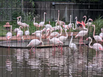 多摩動物公園に投稿された画像（2026/7/4）