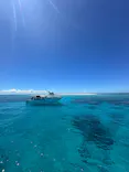 真心ダイバーズに投稿された画像（2026/7/4）