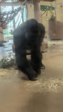 名古屋市東山動植物園に投稿された画像（2026/7/4）