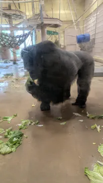名古屋市東山動植物園に投稿された画像（2026/7/4）