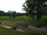 千葉市動物公園に投稿された画像（2026/7/4）