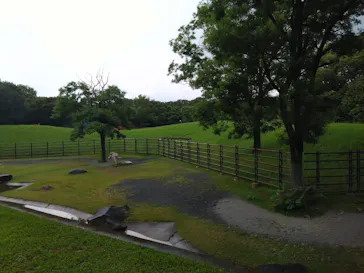千葉市動物公園に投稿された画像（2026/7/4）