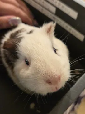Moff animal cafe イオンモール幕張新都心店に投稿された画像（2026/7/4）