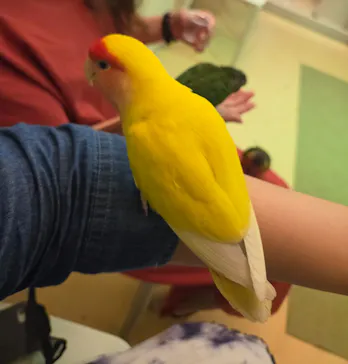 Moff animal cafe イオンモール幕張新都心店に投稿された画像（2026/7/4）