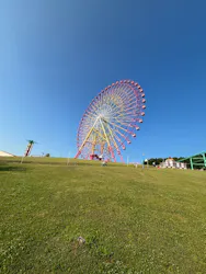 北海道グリーンランドに投稿された画像（2026/7/4）
