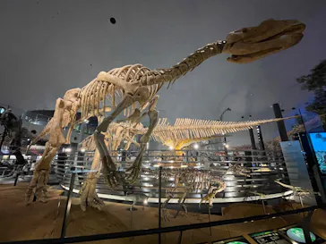 福井県立恐竜博物館に投稿された画像（2026/7/4）