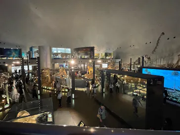 福井県立恐竜博物館に投稿された画像（2026/7/4）