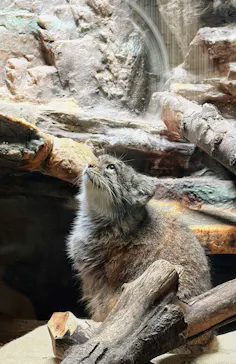 恩賜上野動物園に投稿された画像（2026/7/4）