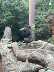恩賜上野動物園に投稿された画像（2026/7/4）