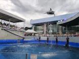 大分マリーンパレス水族館 「うみたまご」に投稿された画像（2026/7/4）