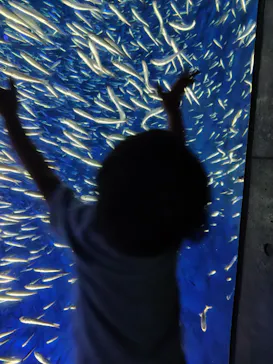 大分マリーンパレス水族館 「うみたまご」に投稿された画像（2026/7/4）