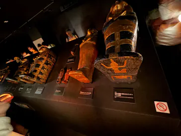 MYSTERY OF TUTANKHAMEN 体感型古代エジプト展に投稿された画像（2026/7/4）