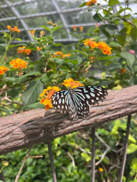 多摩動物公園に投稿された画像（2026/7/4）