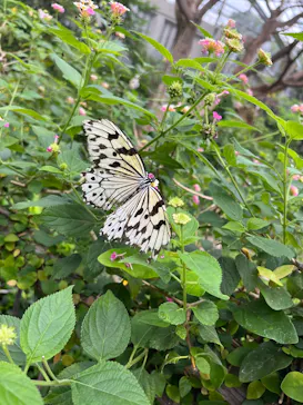 多摩動物公園に投稿された画像（2026/7/4）