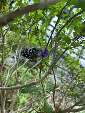 多摩動物公園に投稿された画像（2026/7/4）