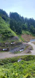 福井県立恐竜博物館に投稿された画像（2026/7/4）