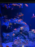 竹島水族館に投稿された画像（2026/7/4）