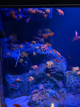 竹島水族館に投稿された画像（2026/7/4）