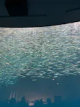 名古屋港水族館に投稿された画像（2026/7/4）