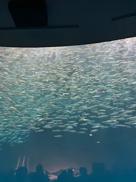 名古屋港水族館に投稿された画像（2026/7/4）