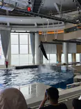 アクアワールド茨城県大洗水族館に投稿された画像（2026/7/4）