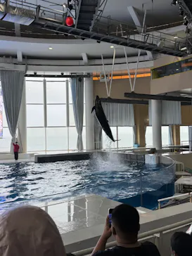 アクアワールド茨城県大洗水族館に投稿された画像（2026/7/4）