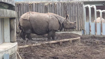 多摩動物公園 ライオンバス乗車券に投稿された画像（2026/7/4）