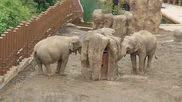 多摩動物公園 ライオンバス乗車券に投稿された画像（2026/7/4）