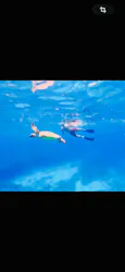 パイレーツマリンクラブに投稿された画像（2026/7/4）